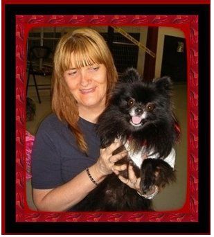 shercat profile photo