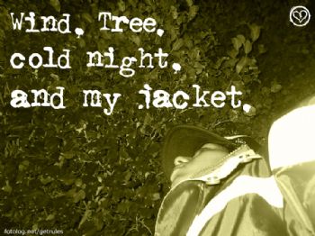 hudsonn profile photo