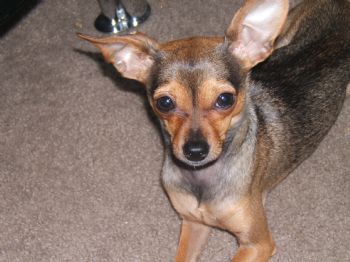 vonnie2484 profile photo