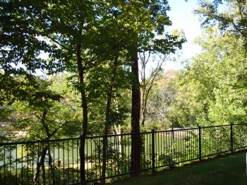 jules9505 profile photo