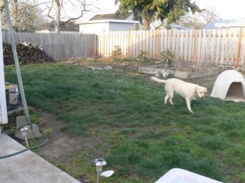 apahouse profile photo