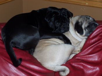 madelynw profile photo