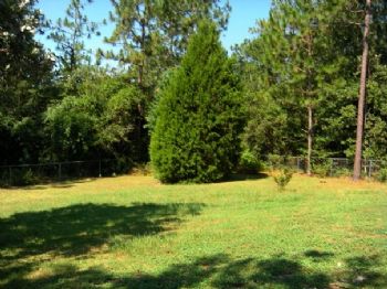 lgmaster profile photo