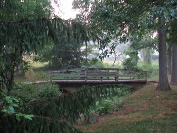 Robin1000 profile photo