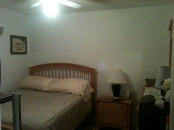 lila44 profile photo