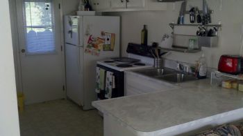 nutterbunnyz profile photo