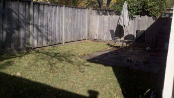 nutterbunnyz profile photo