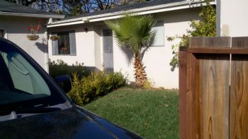 nutterbunnyz profile photo