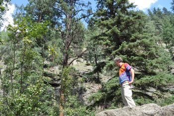 Metal Artist profile photo