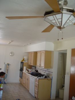 vadams profile photo