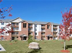 indolentpunk profile photo