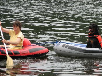 dbdesign profile photo