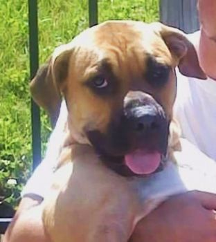 johnnybankz profile photo