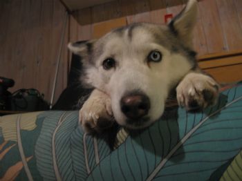 Veloveneto1 profile photo