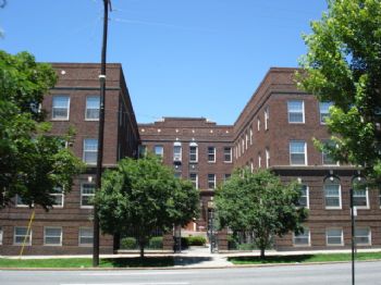 peacepunk profile photo