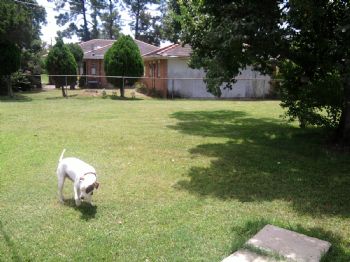 tonia83 profile photo