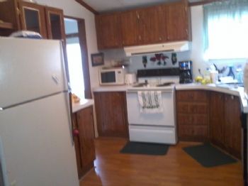 dragoneyes profile photo