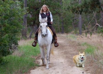 ridethewind profile photo