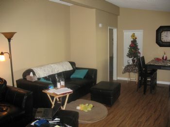 Saraspop profile photo