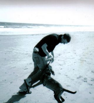 onelikejayc profile photo