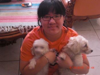 adiwijejes profile photo