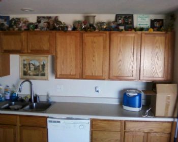 domnmo profile photo