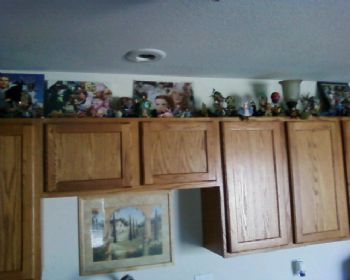 domnmo profile photo