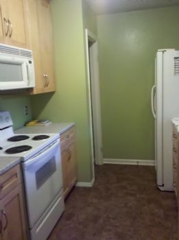 geiger19 profile photo