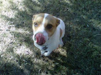 JT85257 profile photo