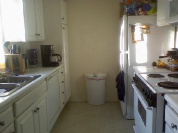 rocketreg profile photo