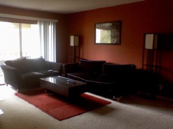 rocketreg profile photo