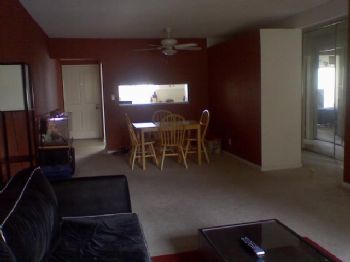 rocketreg profile photo