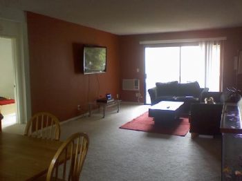 rocketreg profile photo