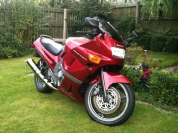 fezzerlfc69 profile photo