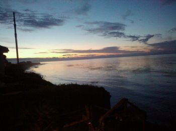 berlyn7126 profile photo