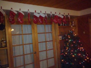 berlyn7126 profile photo