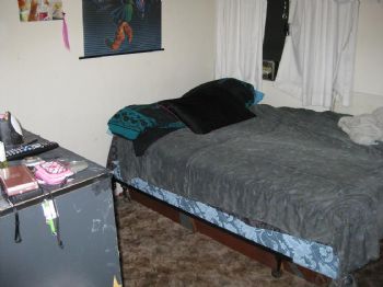 dstructo profile photo