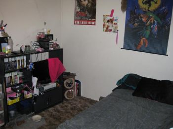 dstructo profile photo