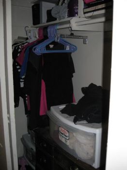 dstructo profile photo