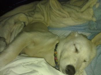 red_Lenoras profile photo