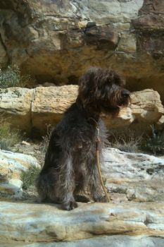 mnoyes profile photo