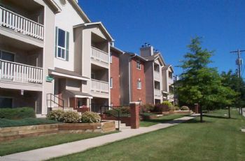 elainelee21 profile photo