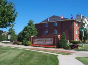 elainelee21 profile photo