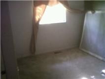 tracyram profile photo