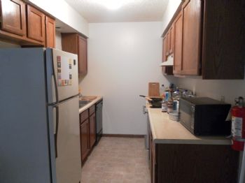 yangge161 profile photo