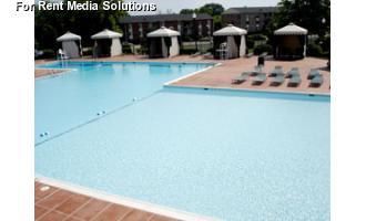 maceface2 profile photo