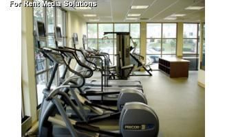 maceface2 profile photo