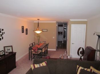 ymansel1 profile photo