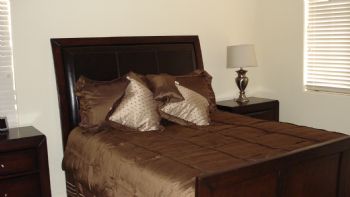 bowlingpig profile photo