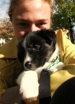 herecomesun profile photo